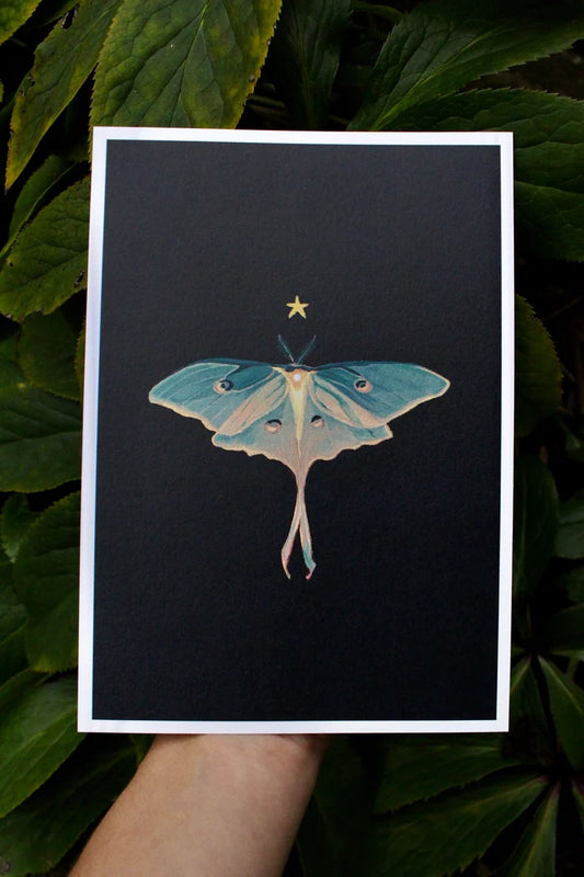 A5 Moth Print